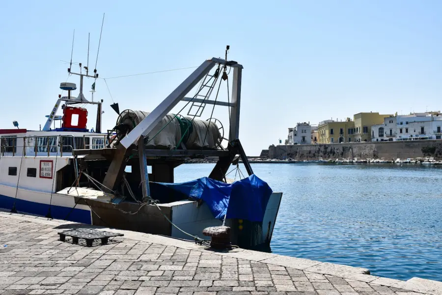 Destinazione mare: quando la passione diventa mestiere, il laboratorio di Confcommercio conquista gli studenti