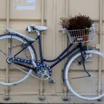 Bici in Asta torna alla Spezia: in vendita le bici abbandonate recuperate dal Comune