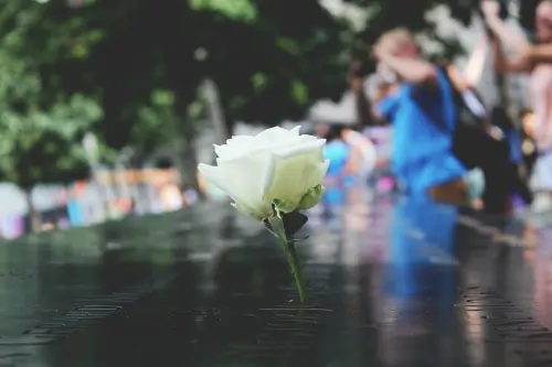 La Spezia ricorda i Caduti di Valmozzola: l’assessore Guerri alla cerimonia commemorativa