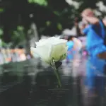 La Spezia ricorda i Caduti di Valmozzola: l’assessore Guerri alla cerimonia commemorativa